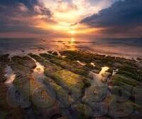 麻豆经济视频国产-麻豆经济视频的崛起，国产内容的新趋势